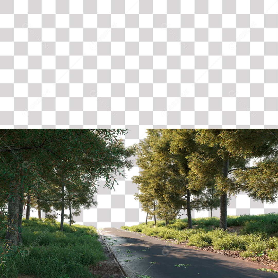 Árvore de Folha Verde Planta Estrada PNG Transparente