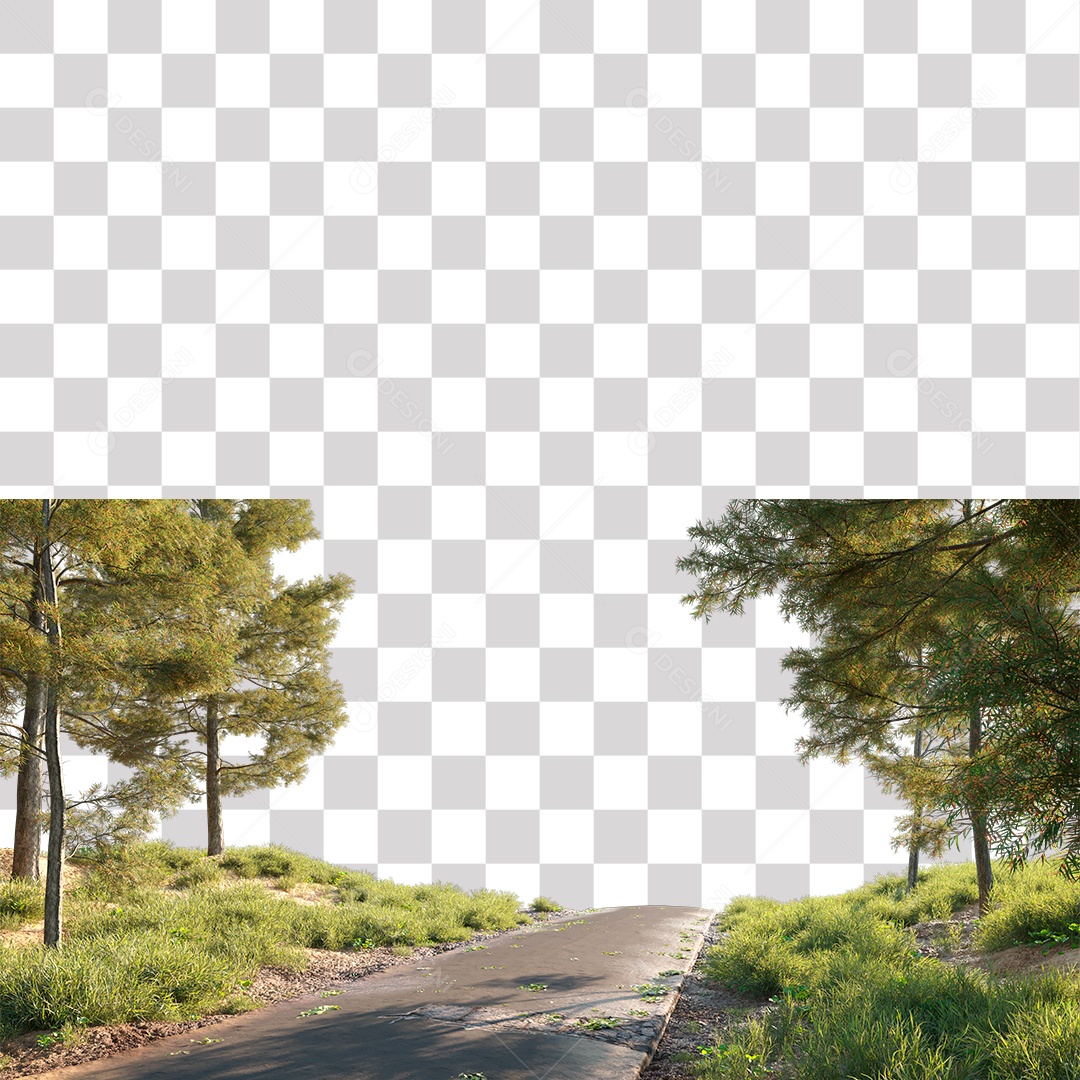 Árvore de Folha Verde Planta Estrada PNG Transparente