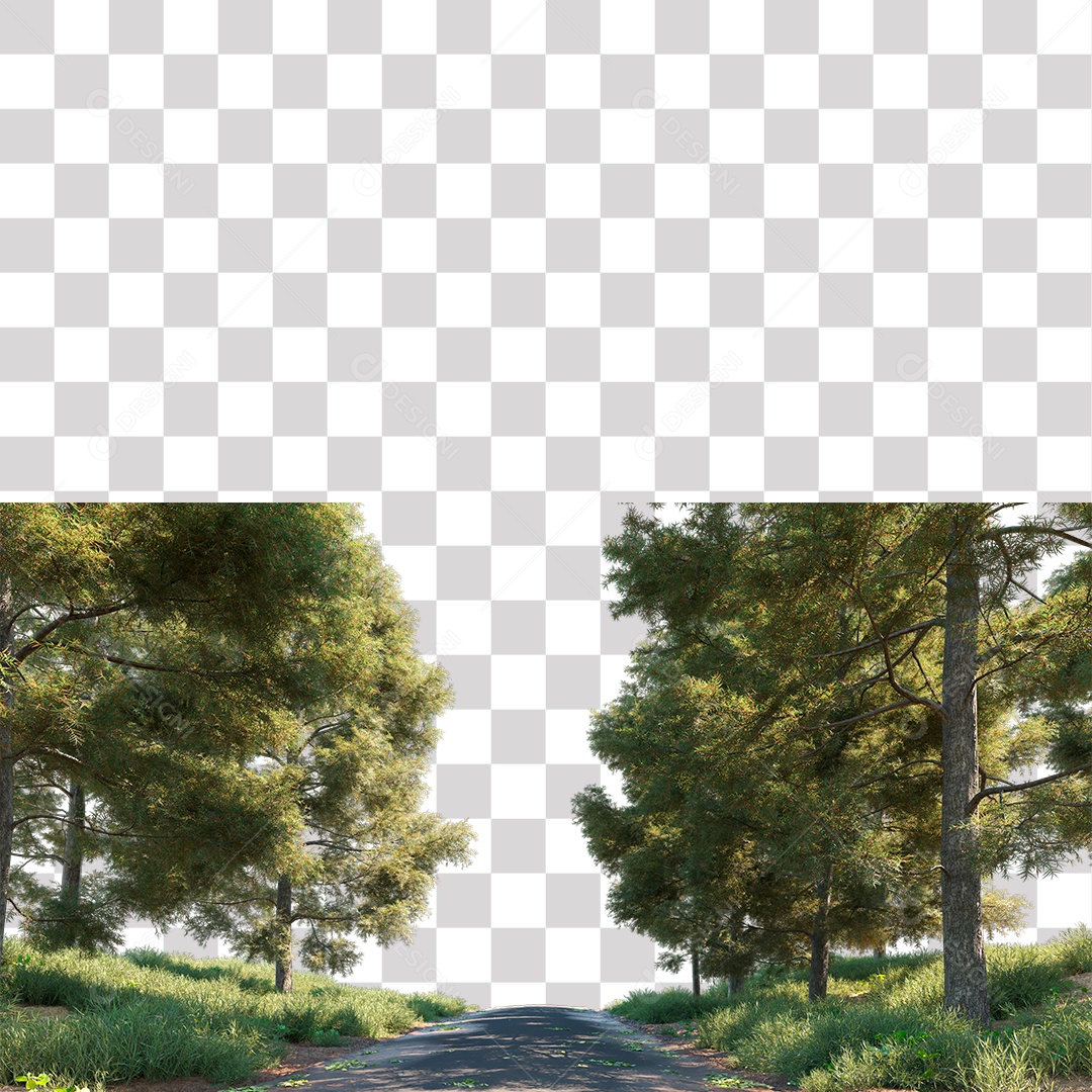 Árvore de Folha Verde Planta Estrada PNG Transparente