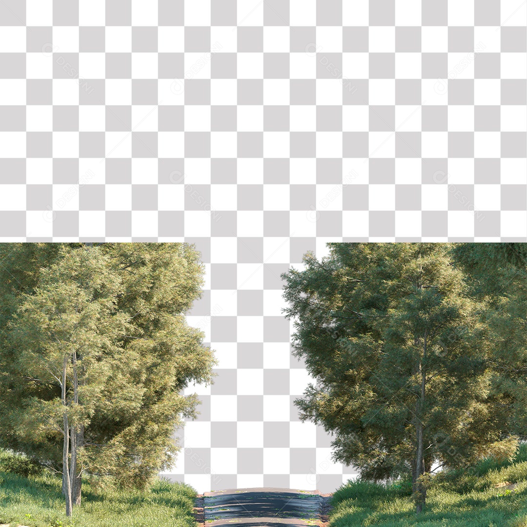 Árvore de Folha Verde Planta Estrada PNG Transparente