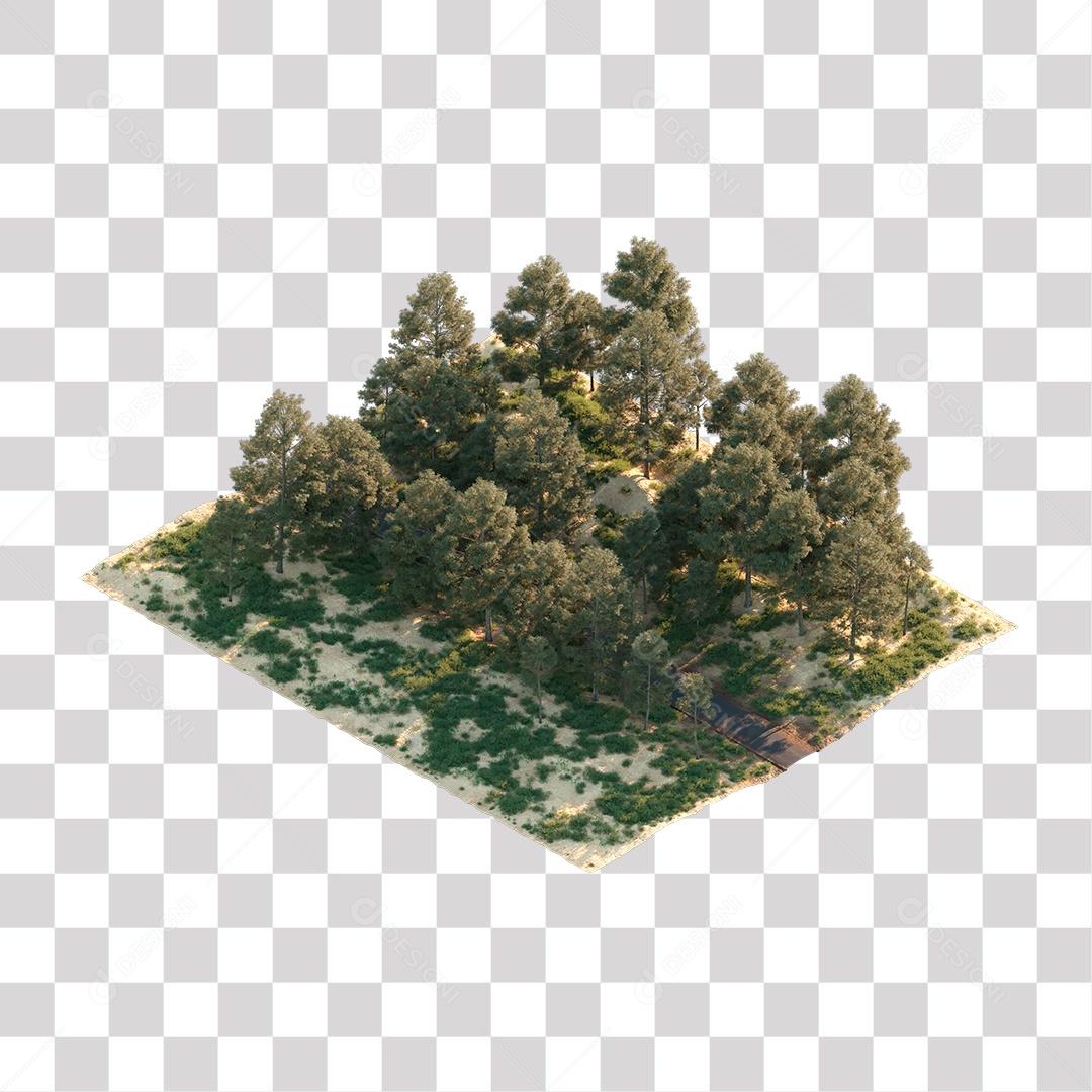 Árvore de Folha Verde Coqueiro Planta PNG Transparente