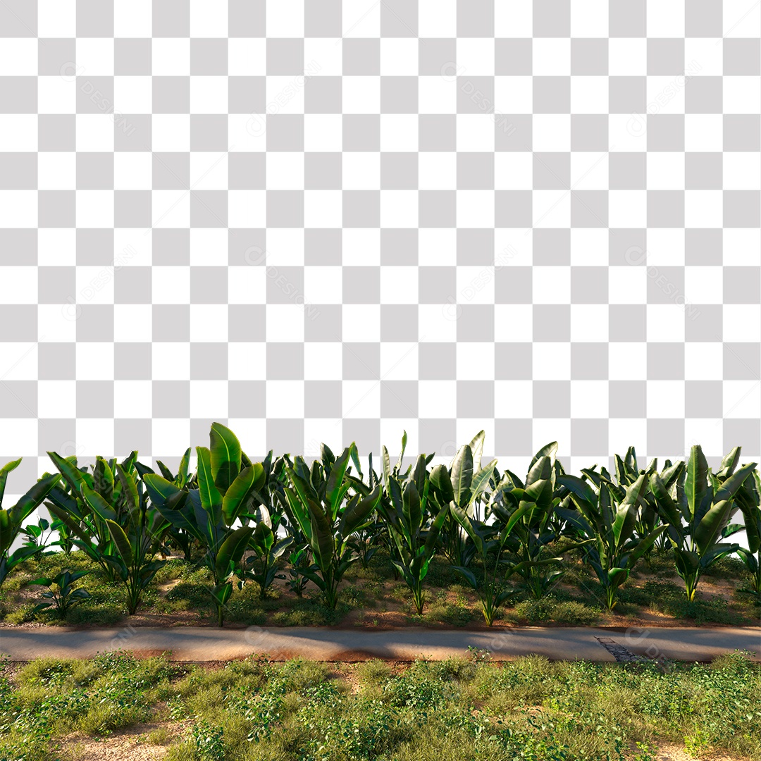 Árvore de Folha Verde Planta Estrada PNG Transparente