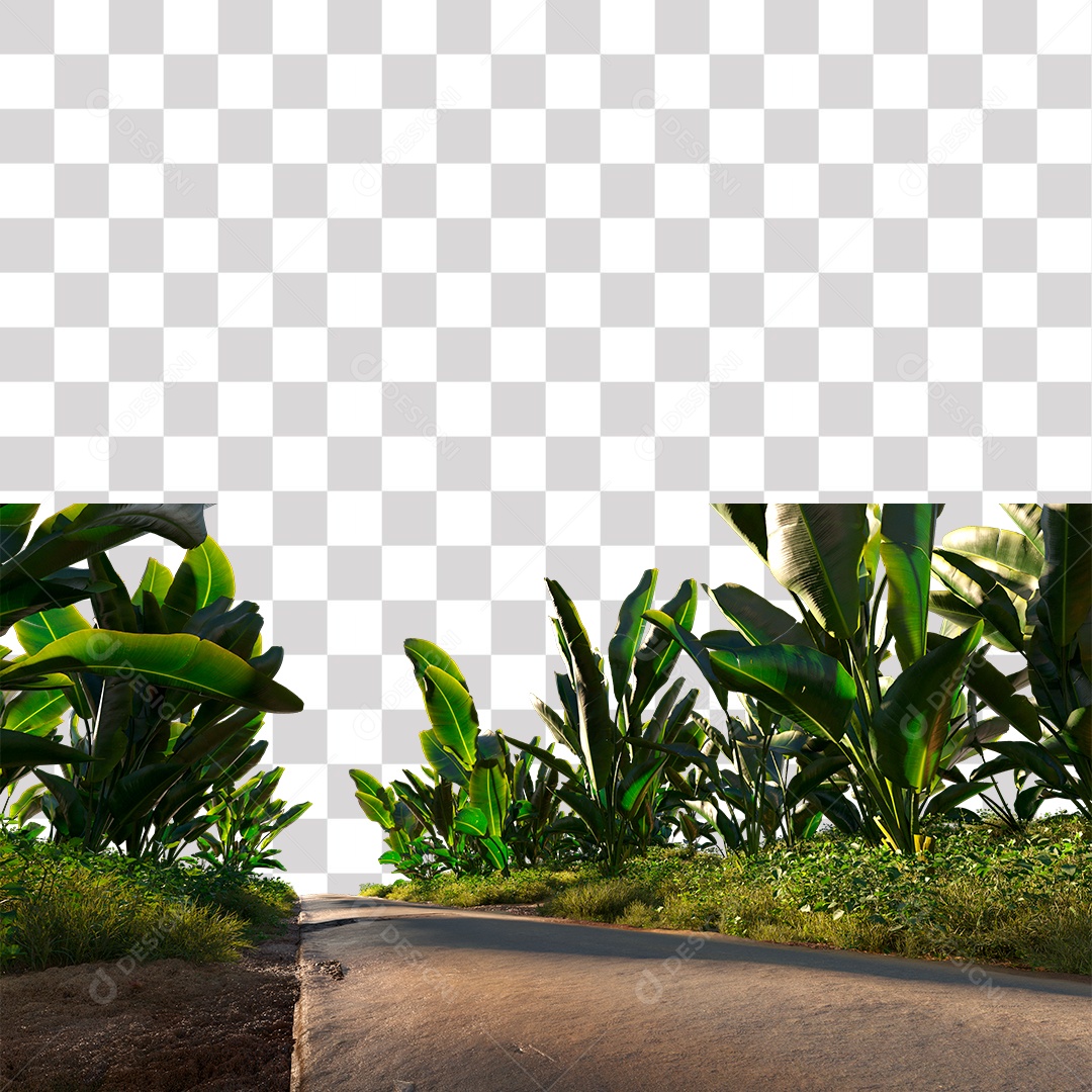 Mudas de Bananeira na Beira Da Estrada PNG Transparente