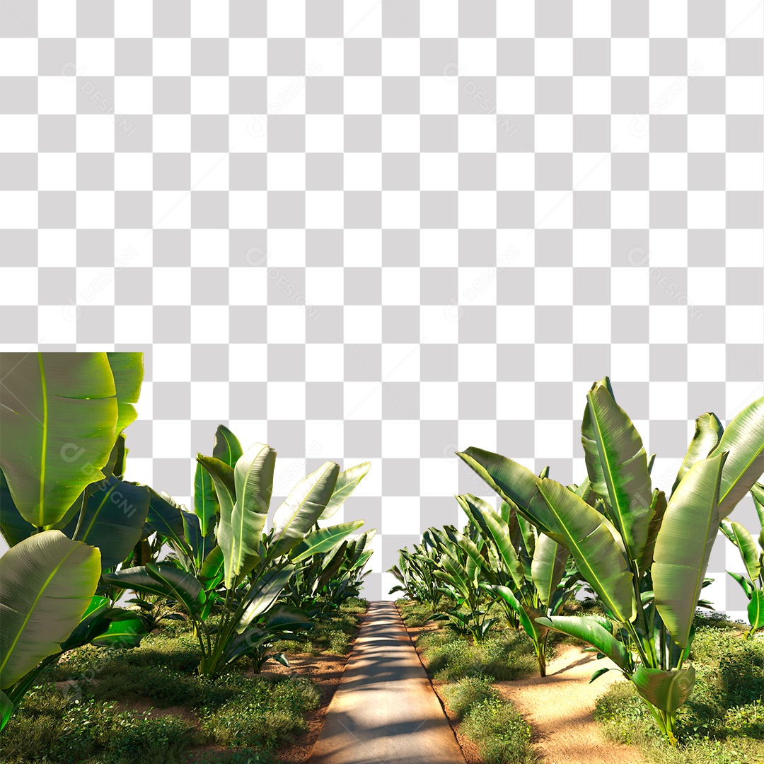 Mudas de Bananeira na Beira Da Estrada PNG Transparente