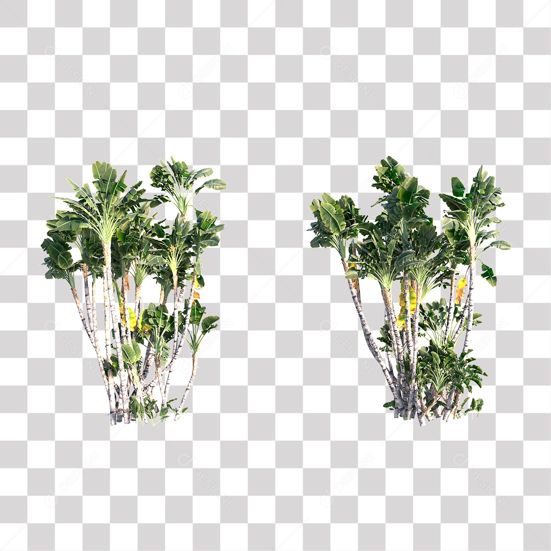 Planta Arbusto PNG Transparente