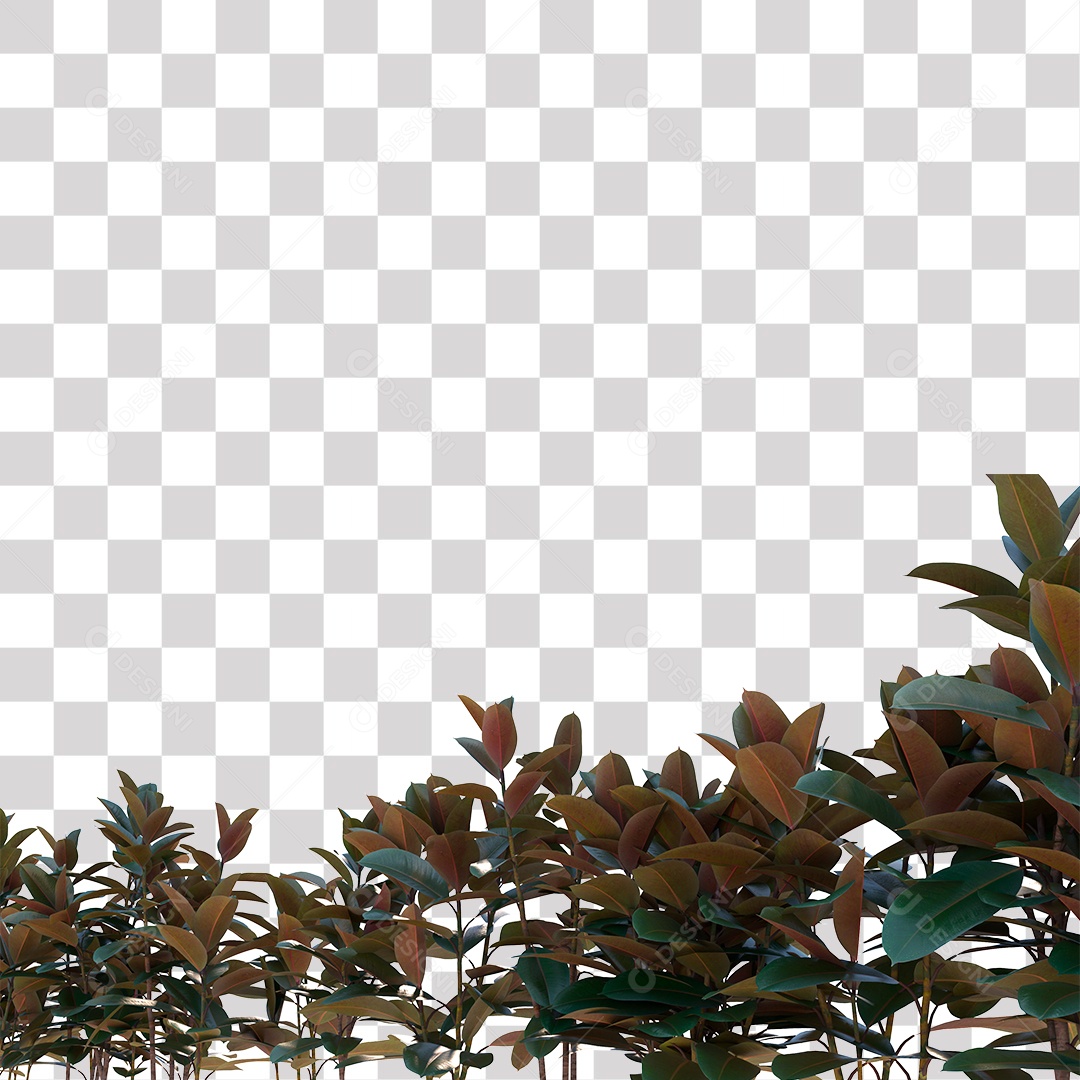 Planta Arbusto PNG Transparente