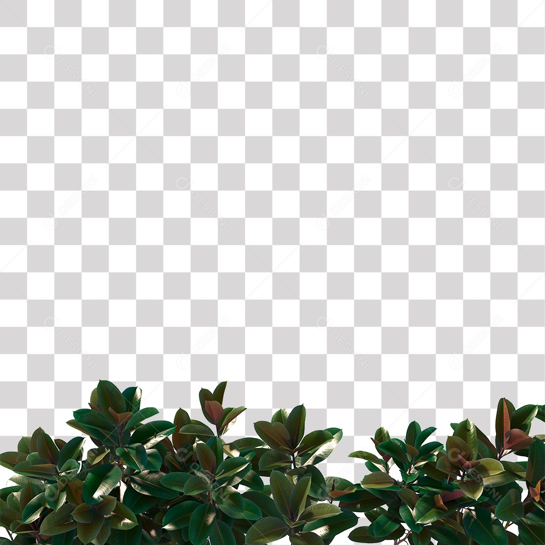 Planta Arbusto PNG Transparente