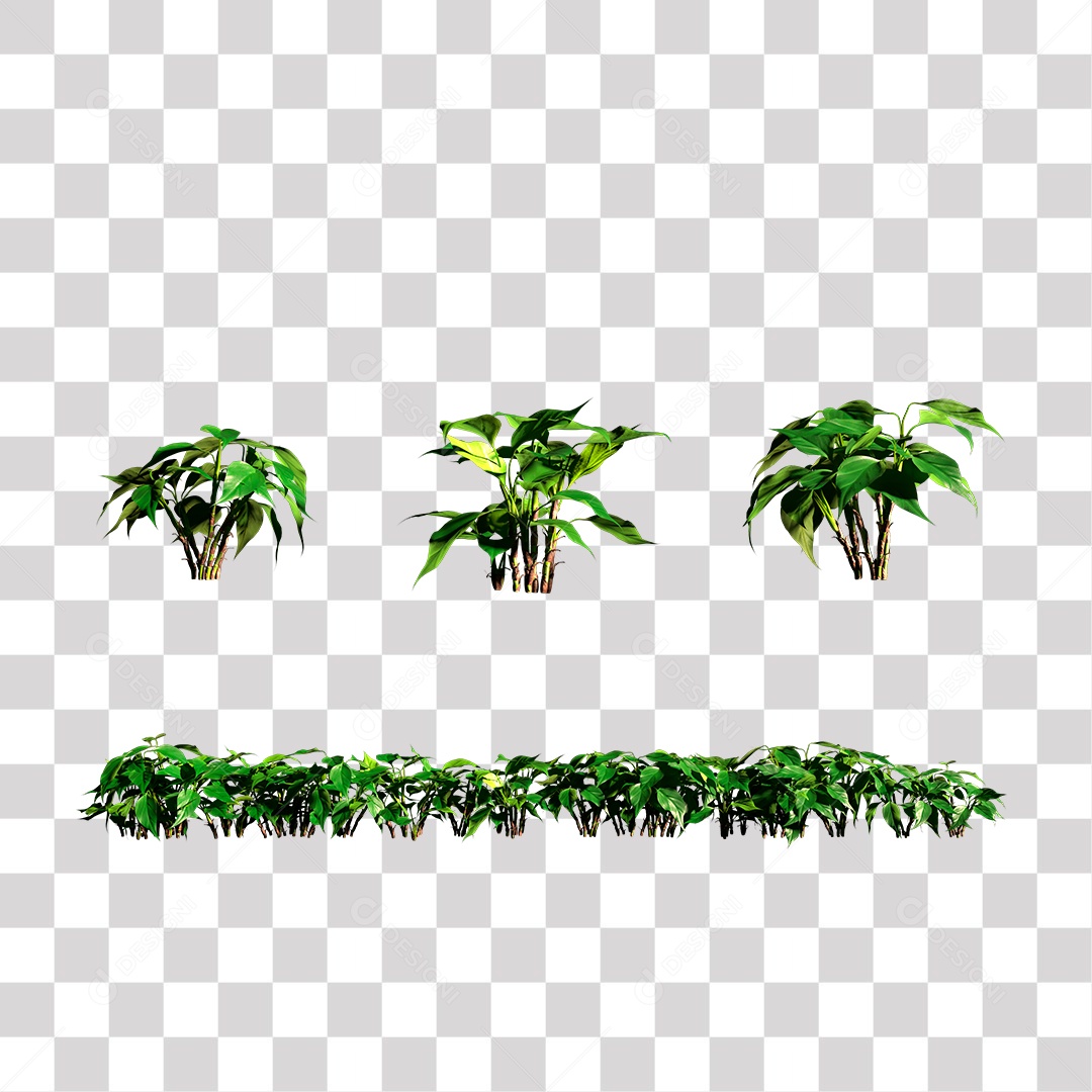 Planta com folhas verdes PNG Transparente