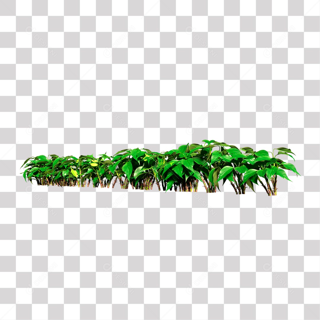 Planta Arbusto PNG Transparente