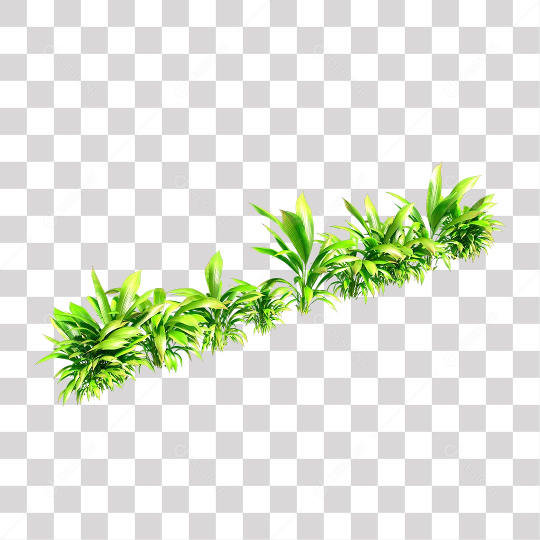 Planta Arbusto PNG Transparente