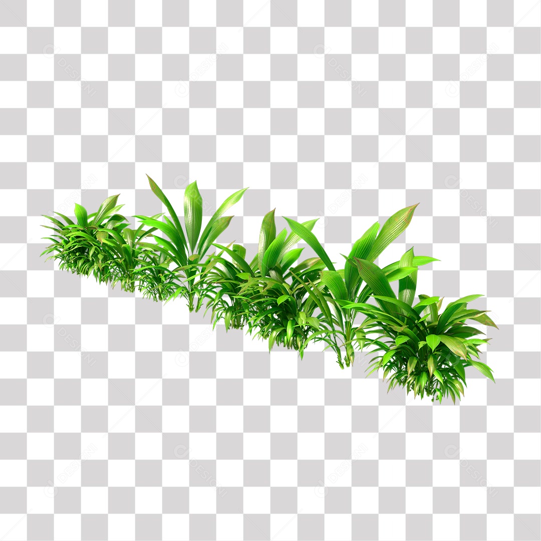 Planta Arbusto PNG Transparente