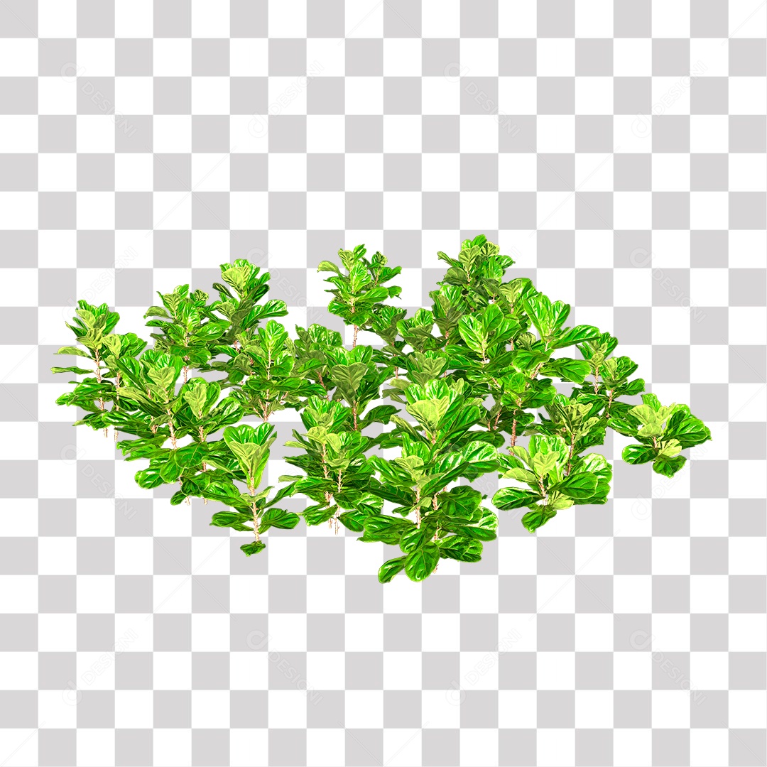 Planta Arbusto PNG Transparente