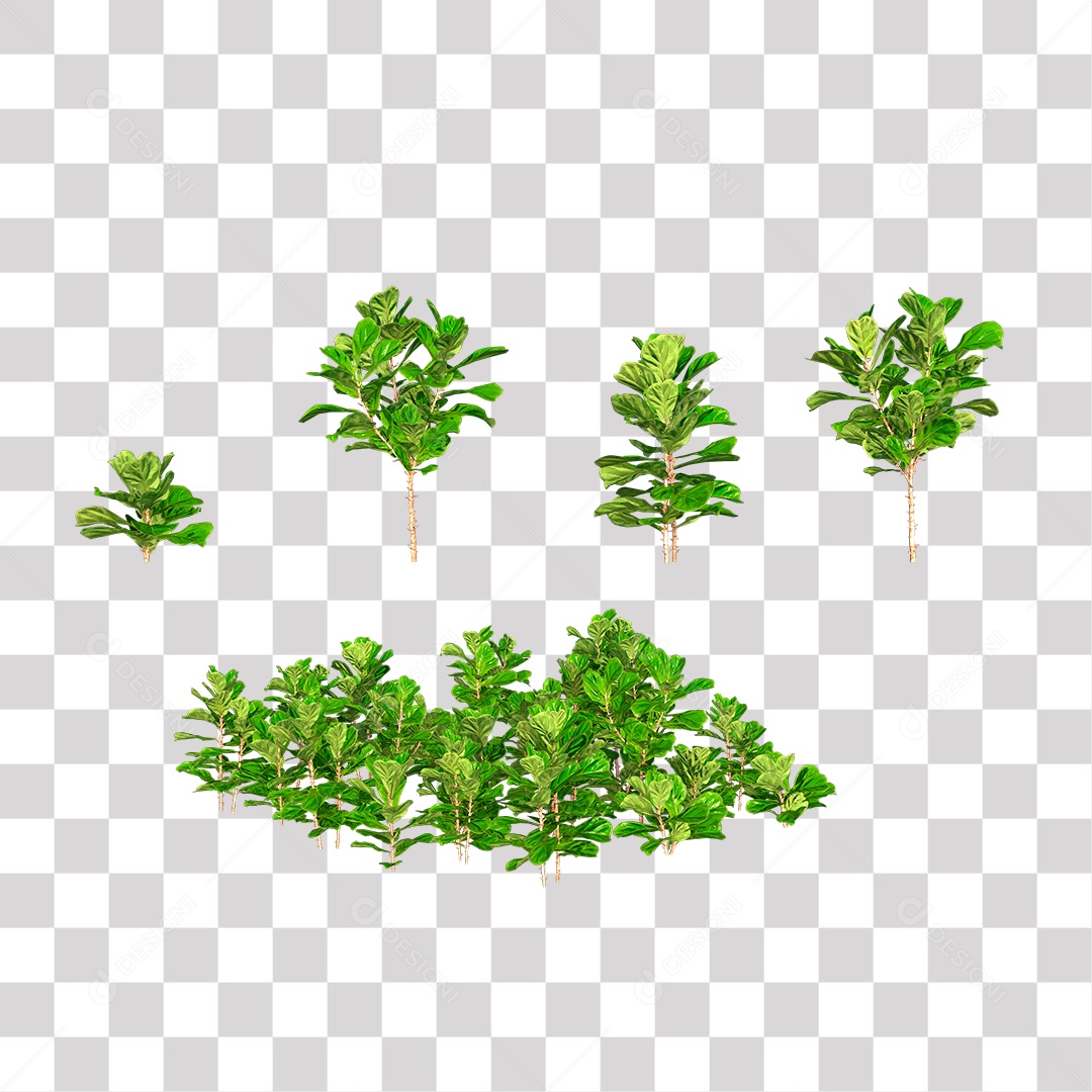 Varias Plantas PNG Transparente