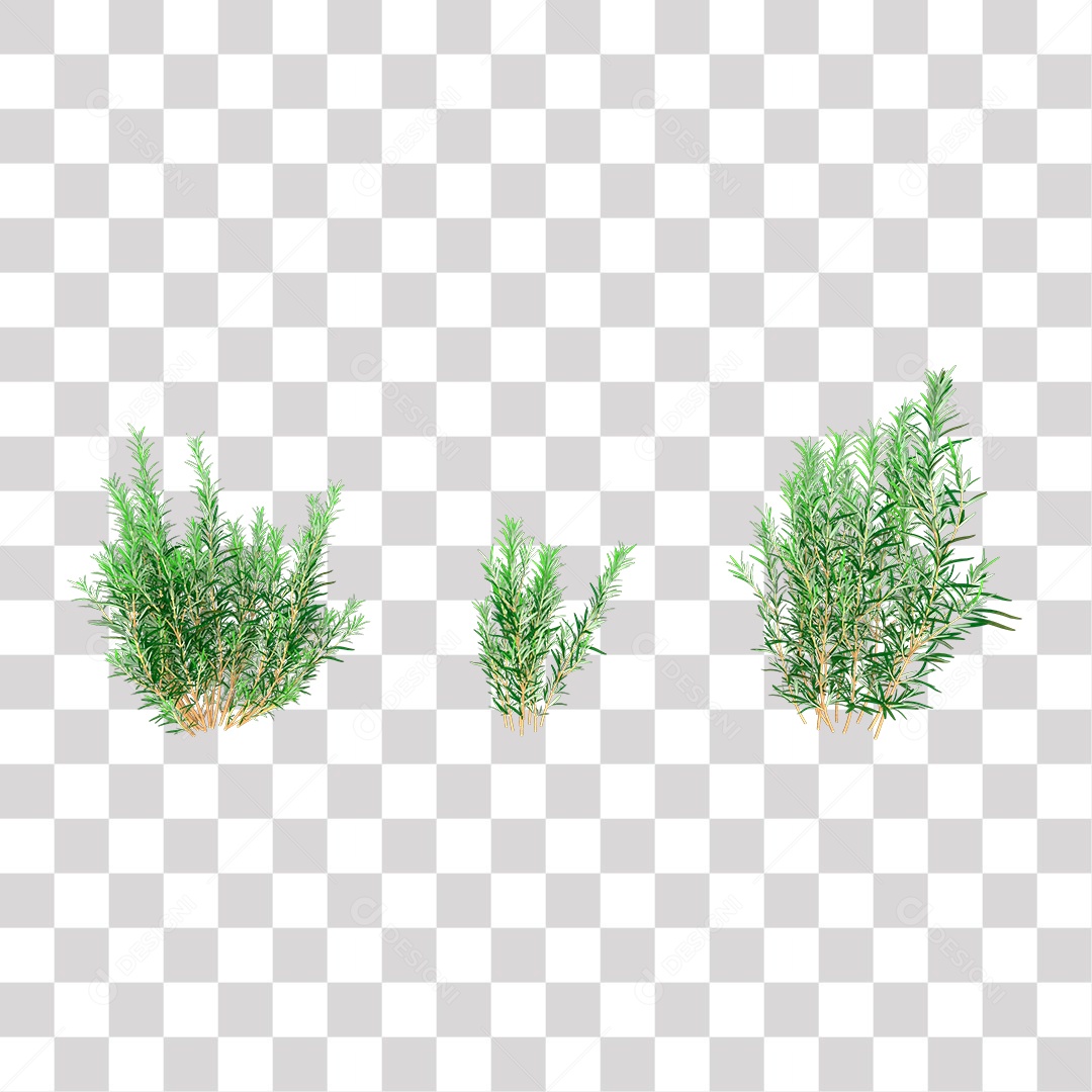 Varias Plantas PNG Transparente
