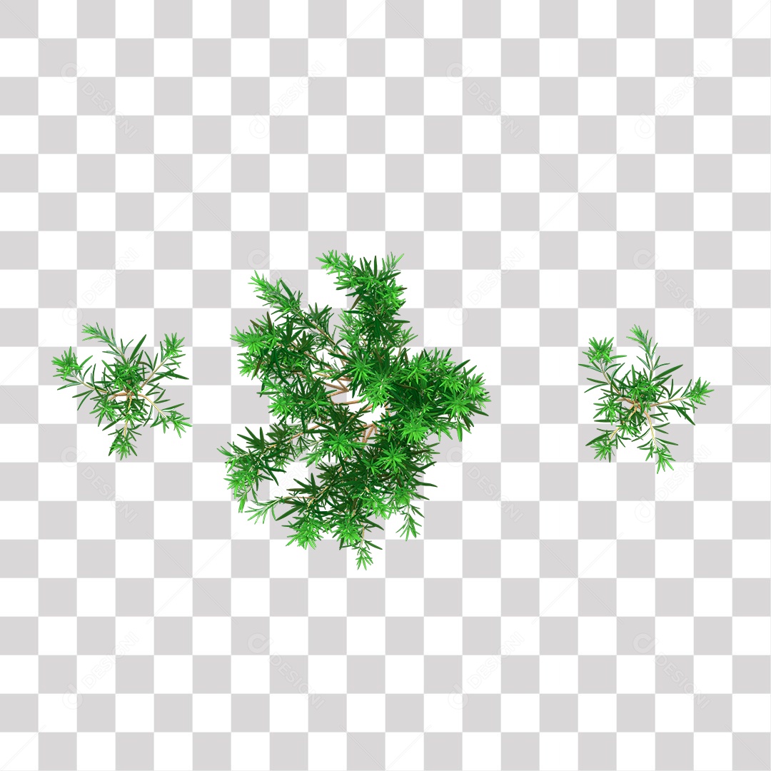 Planta com folhas verdes PNG Transparente