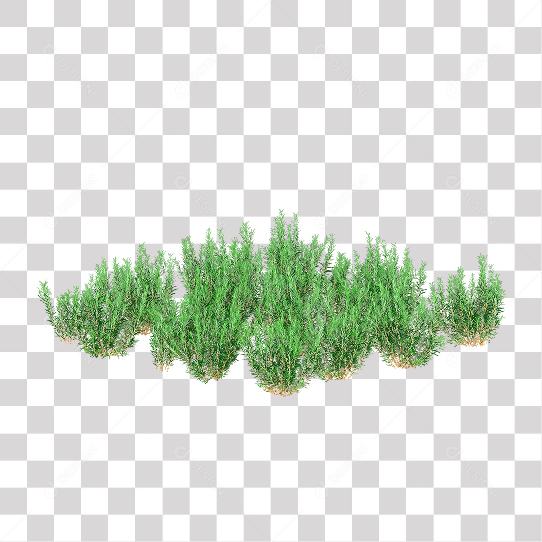 Planta Arbusto PNG Transparente