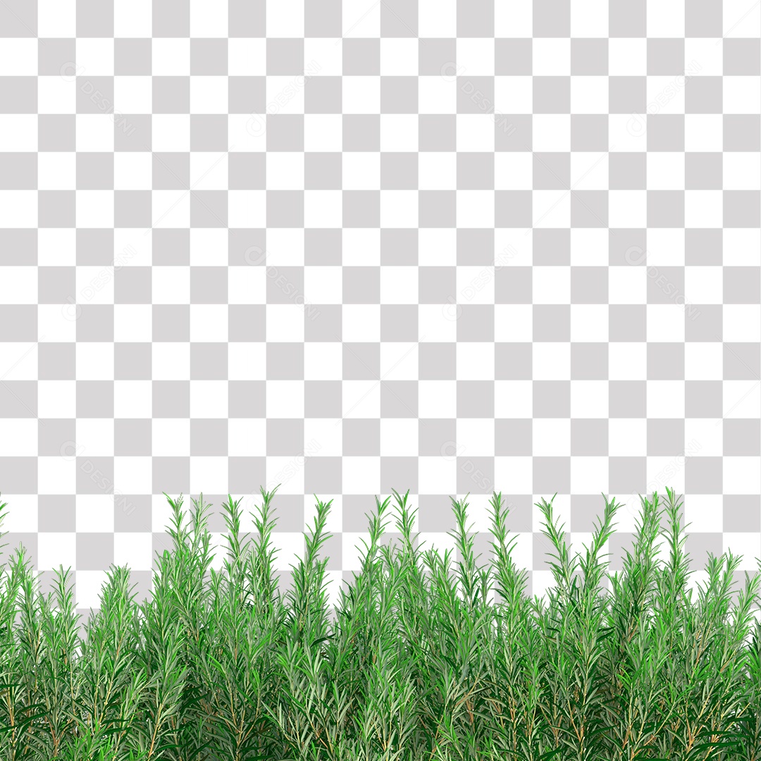 Planta Arbusto PNG Transparente