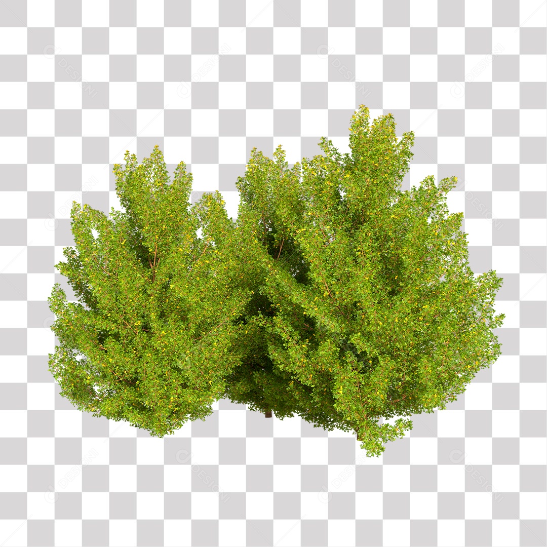 Planta Arbusto PNG Transparente