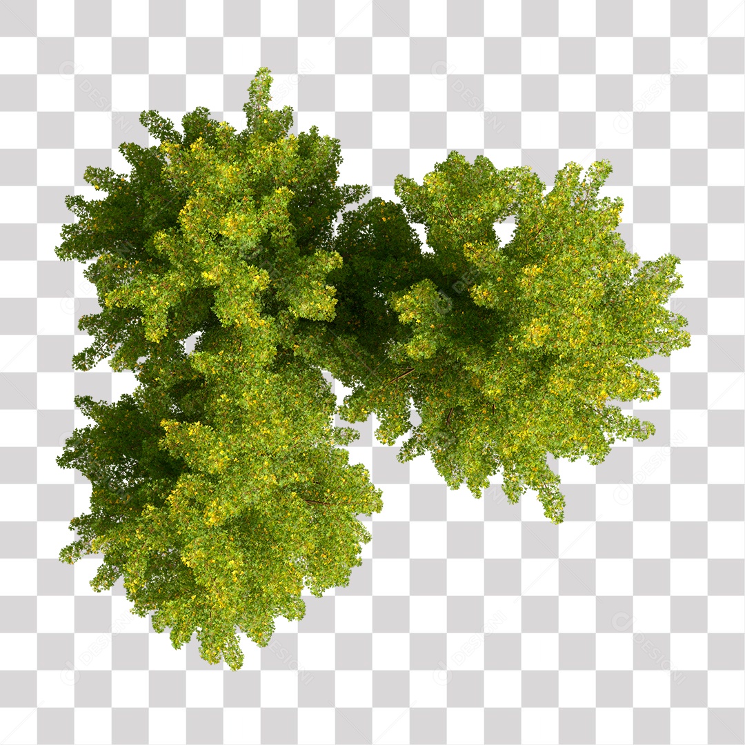 Planta Arbusto PNG Transparente