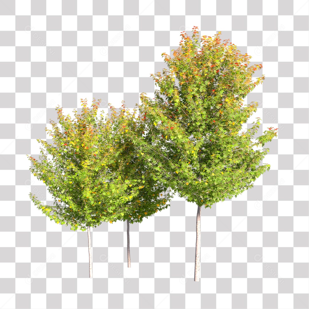 Árvore de Folha Verde Planta PNG Transparente