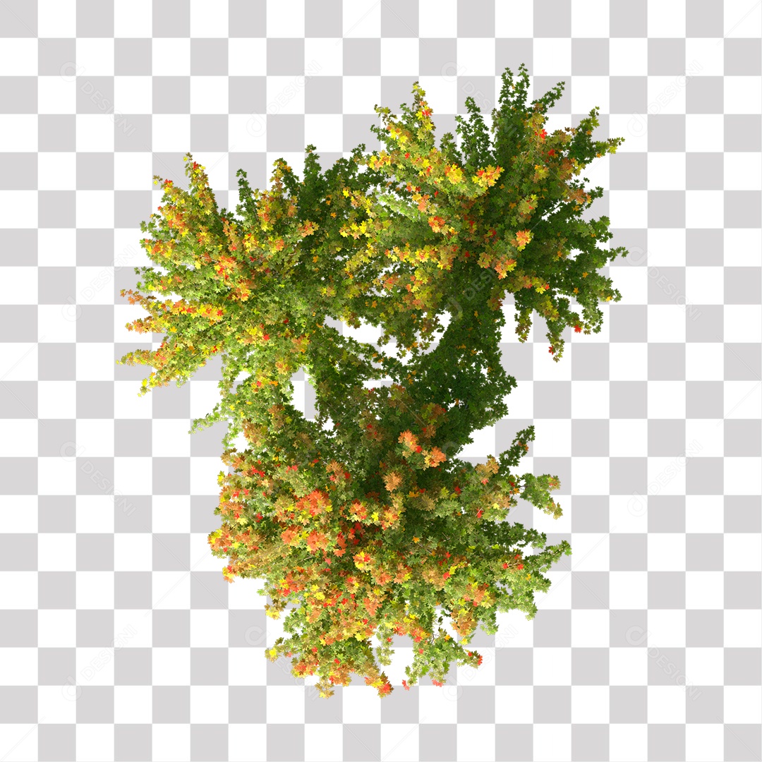 Planta Arbusto PNG Transparente