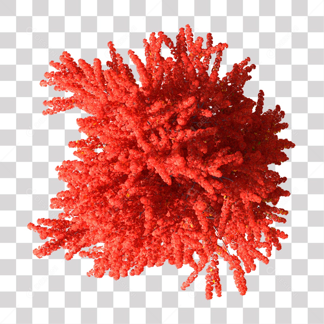 Parte Superior da Árvore de Folha vermelha PNG Transparente