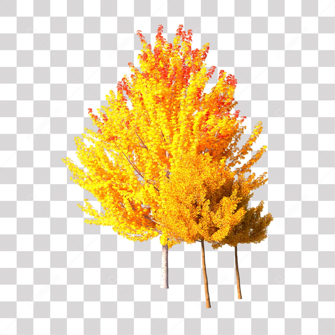 Árvore de Folha Amarela PNG Transparente