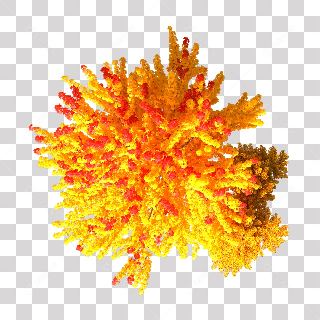 Parte Superior da Árvore de Folha Amarela PNG Transparente