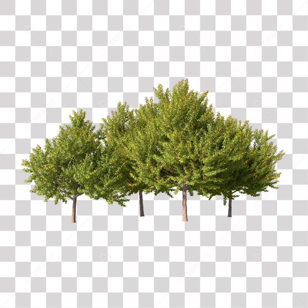Árvores verdes PNG Transparente