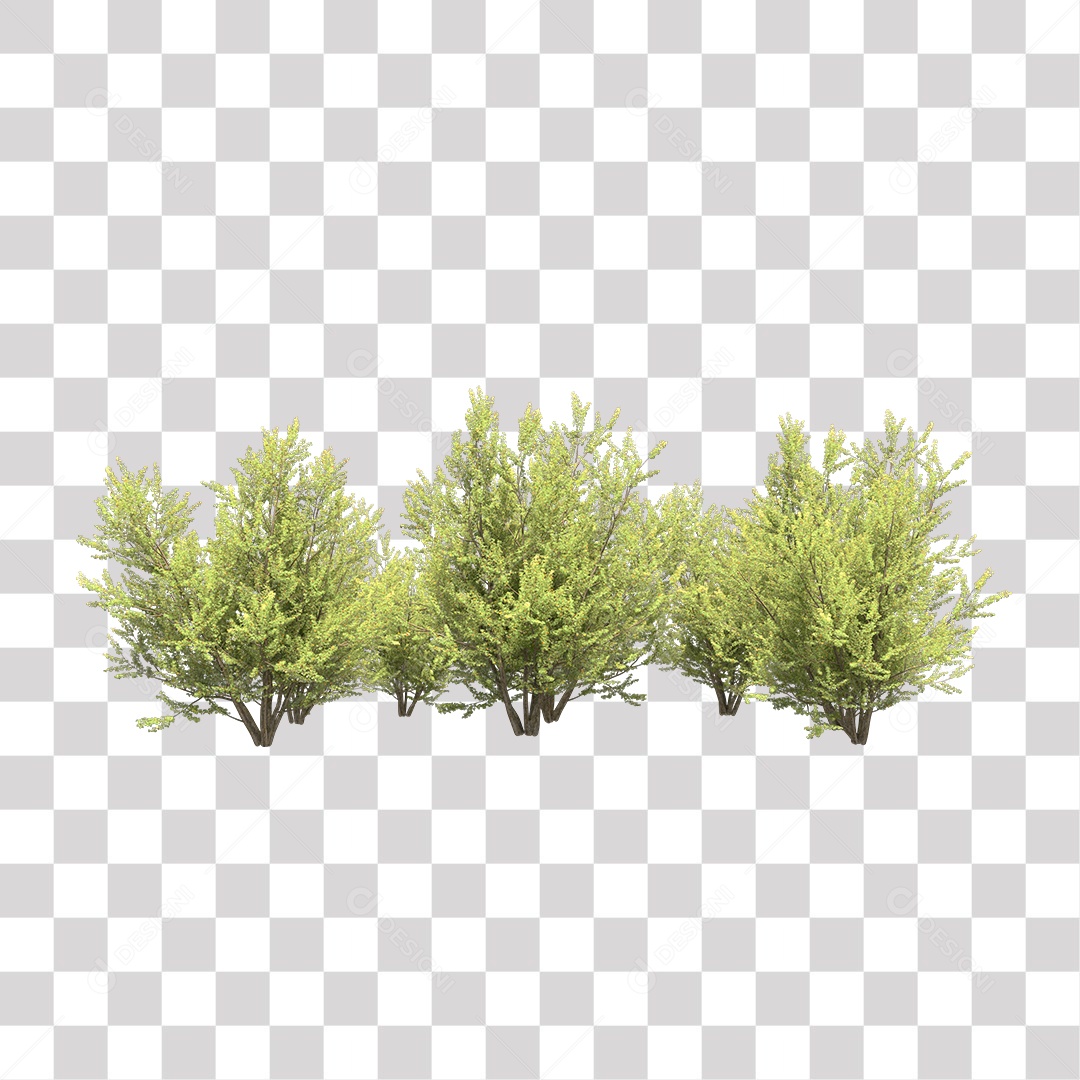 Árvores PNG Transparente