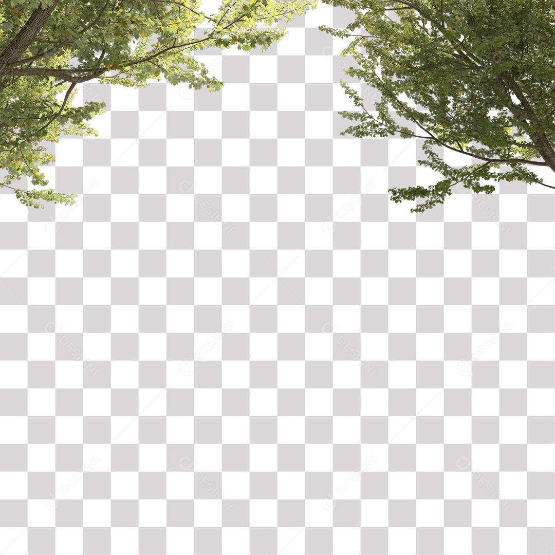 Parte Superior da Árvore de Folha verde PNG Transparente