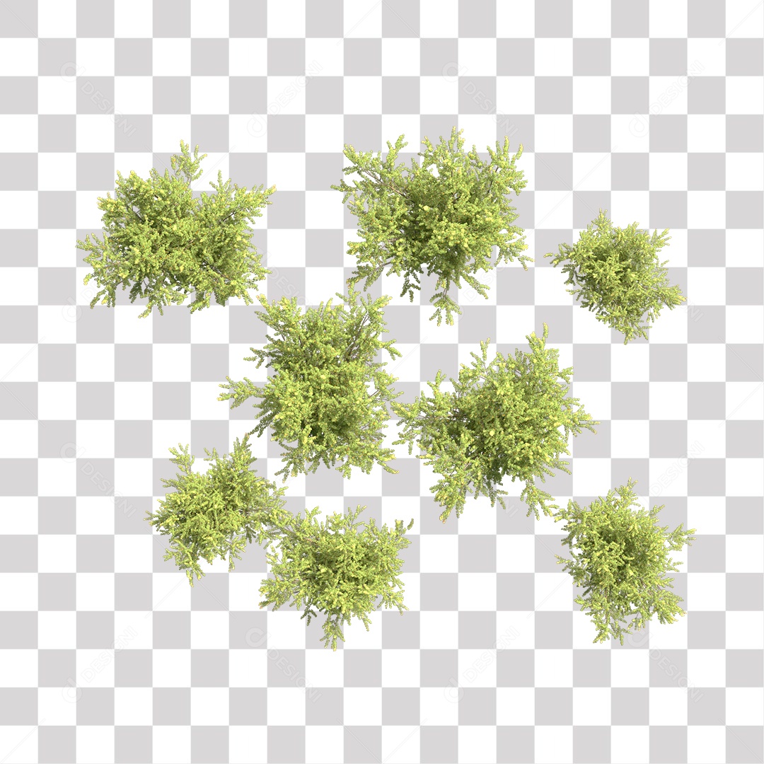 Parte Superior da Árvore de Folha verde PNG Transparente