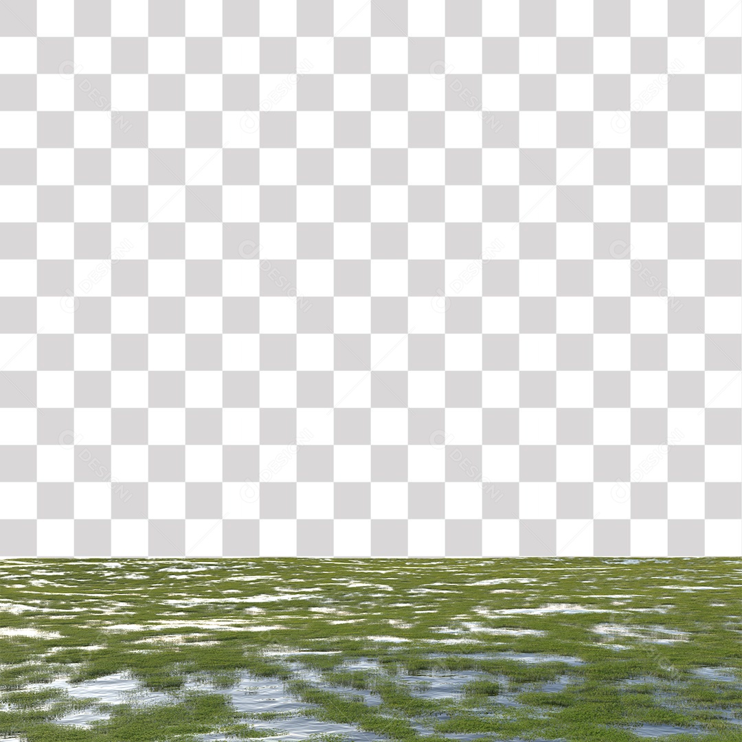 Planta Aquática PNG Transparente