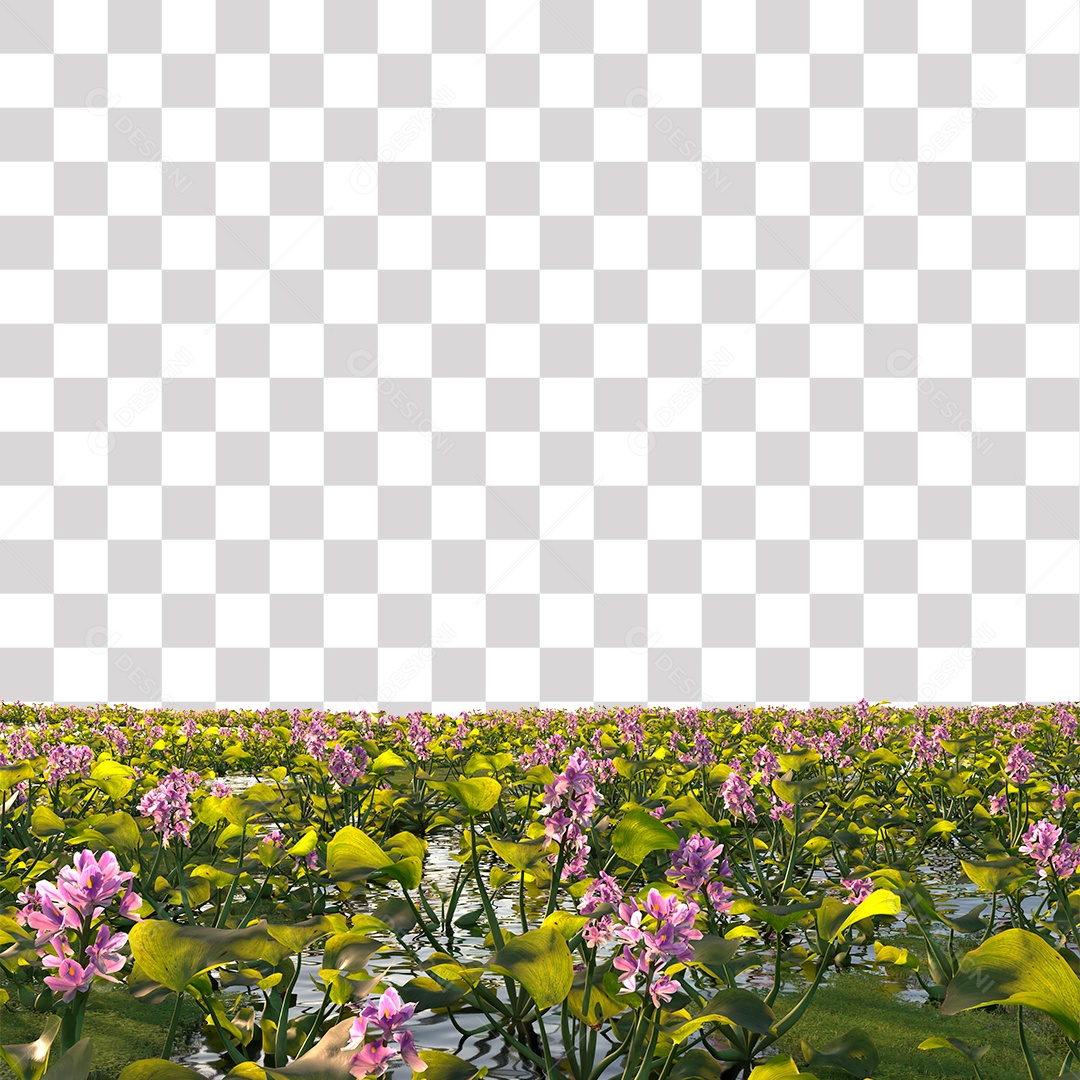 Planta Aquática com Flor PNG Transparente