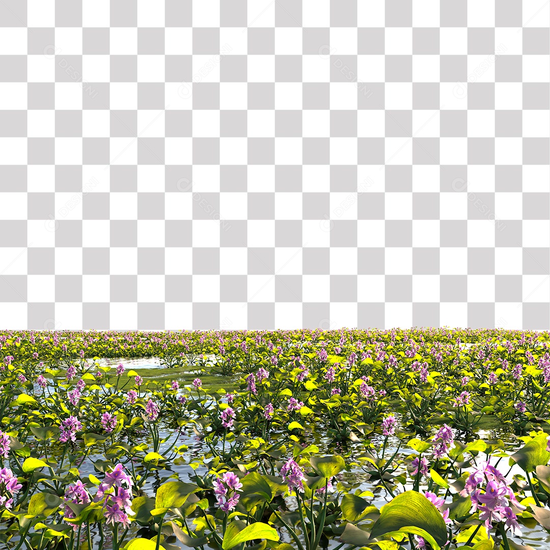 Planta Aquática com Flor PNG Transparente