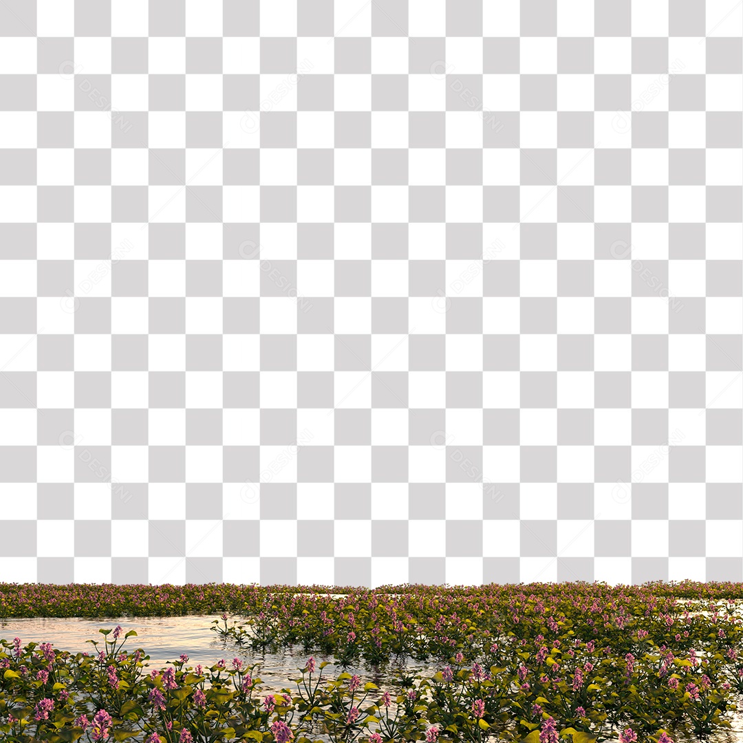 Planta Aquática com Flor PNG Transparente