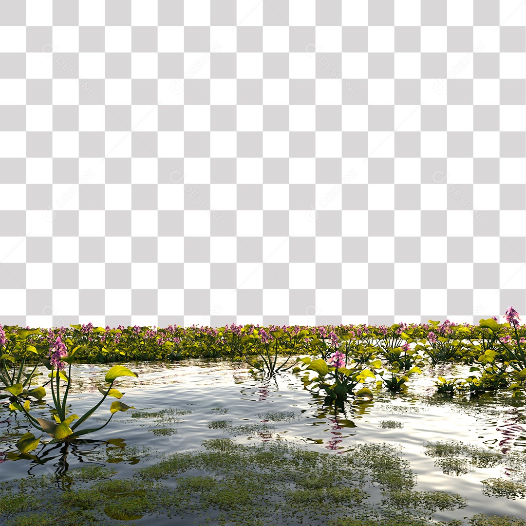 Planta Aquática com Flor PNG Transparente