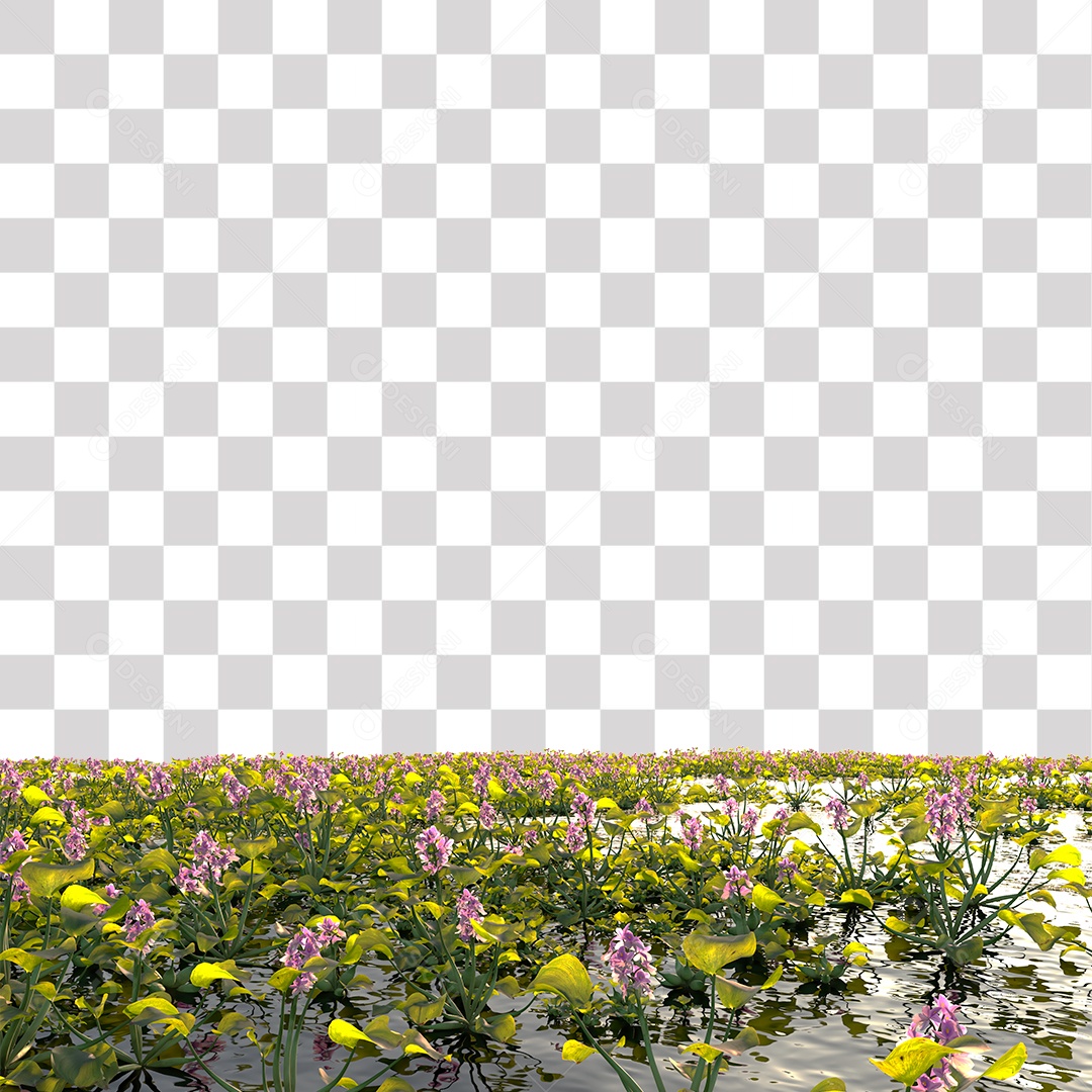 Planta Aquática com Flor PNG Transparente