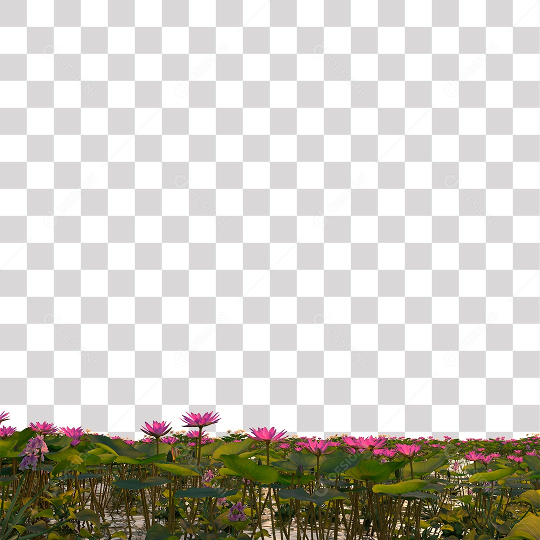 Planta Aquática com Flor PNG Transparente