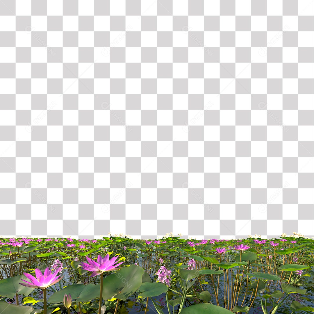 Planta Aquática com Flor PNG Transparente