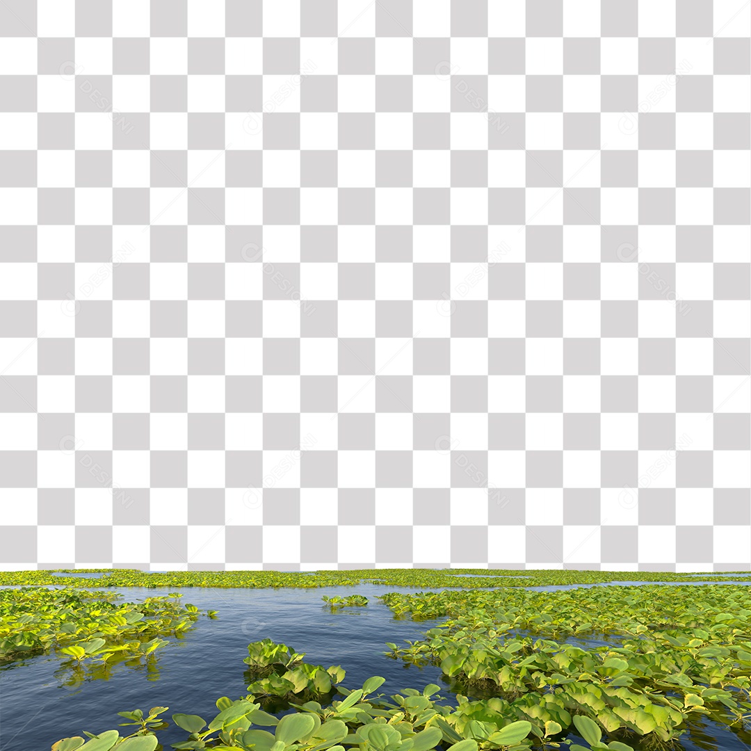 Planta Aquática PNG Transparente