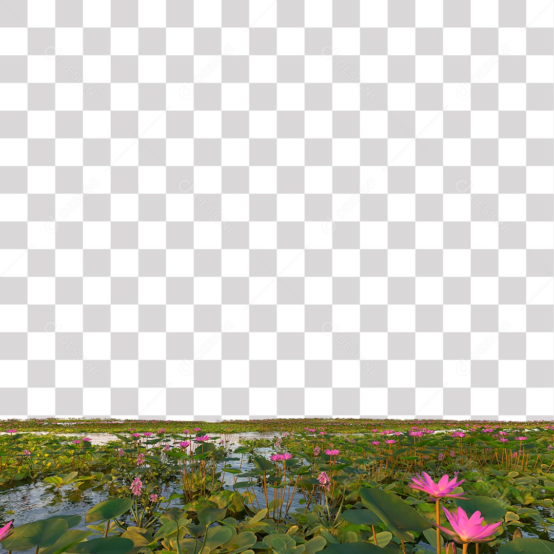 Planta Aquática PNG Transparente