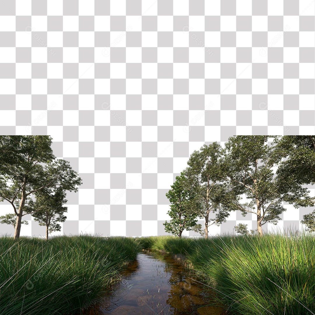 Paisagem Árvores Planta Córrego PNG Transparente