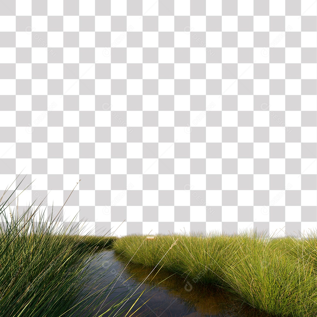 Paisagem Árvores Planta Córrego PNG Transparente