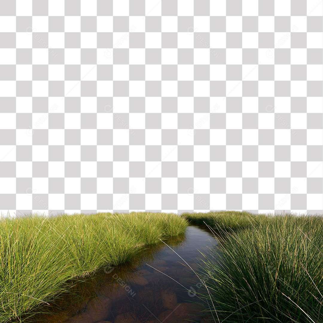 Paisagem Árvores Planta Córrego PNG Transparente