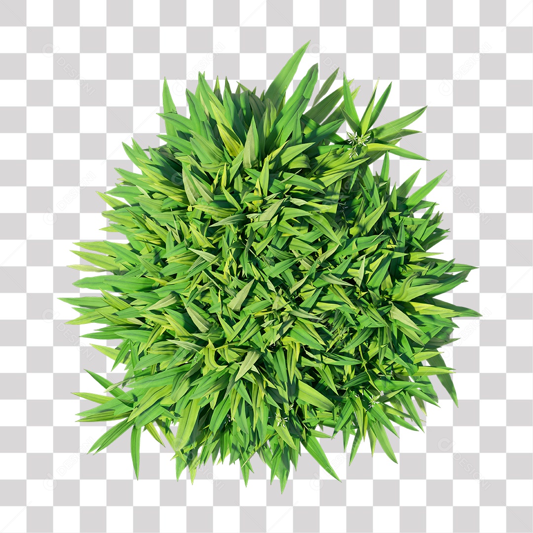 Planta Arbusto PNG Transparente