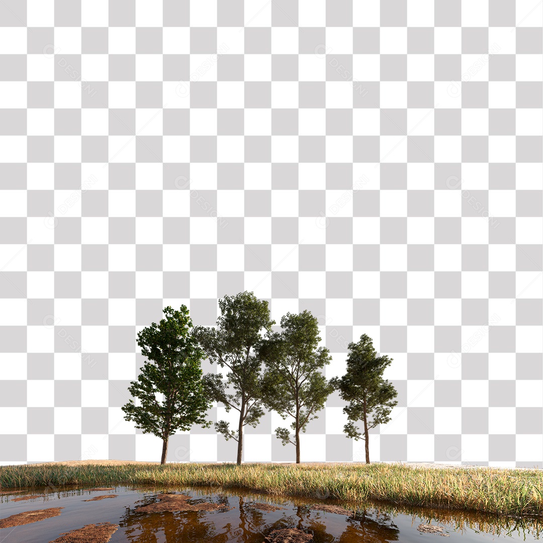 Árvores verdes Estrada planta PNG Transparente