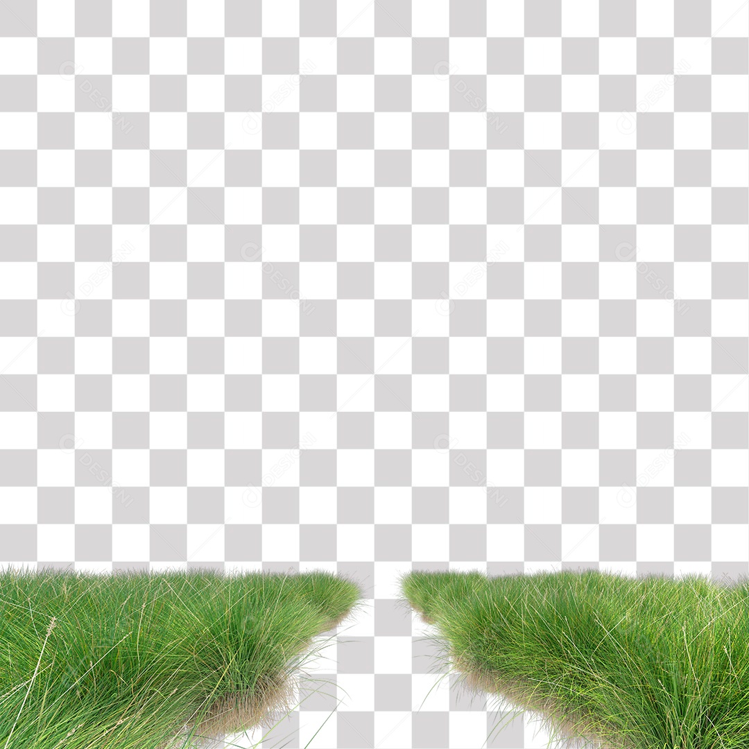 Planta Arbusto Grama PNG Transparente