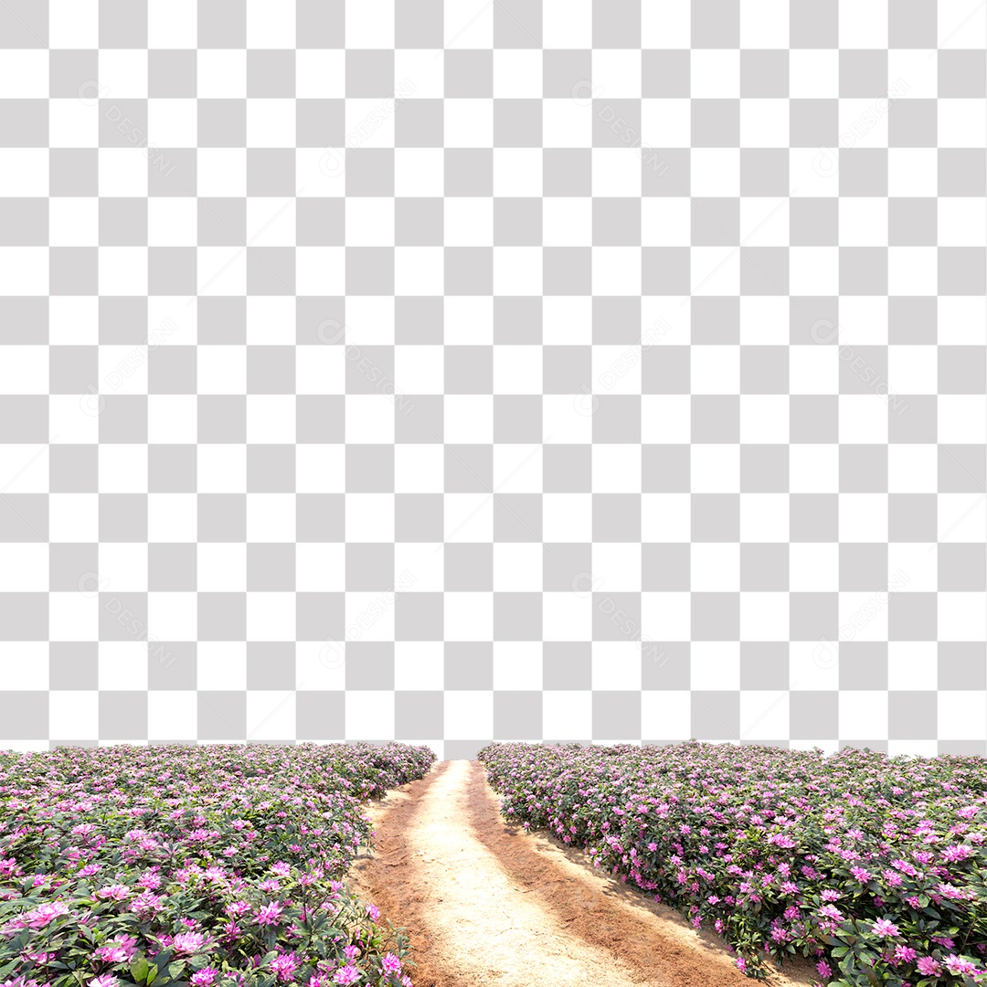 Arbusto de Flores Na Beira da Estrada PNG Transparente