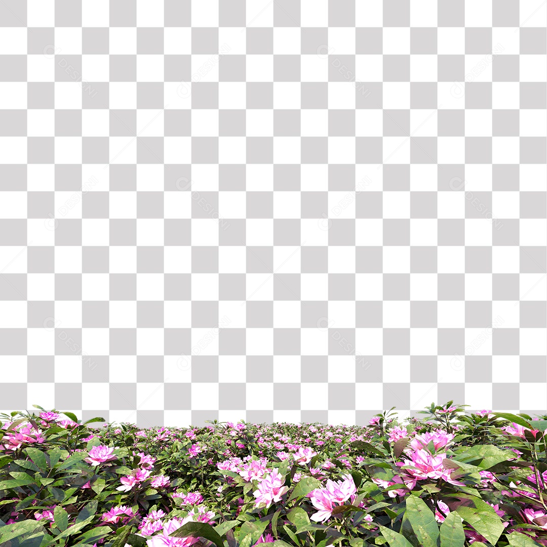 Arbusto de Flores PNG Transparente